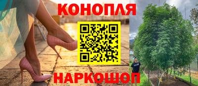 ПСИЛОЦИБИНОВЫЕ ГРИБЫ Лесосибирск