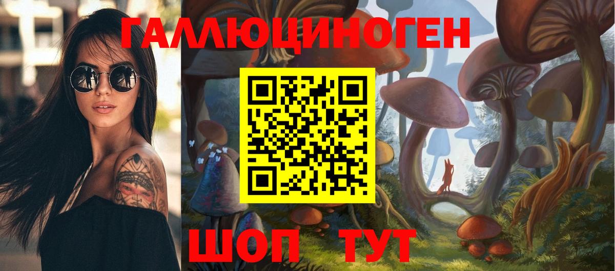 Псилоцибиновые грибы мицелий Ярцево