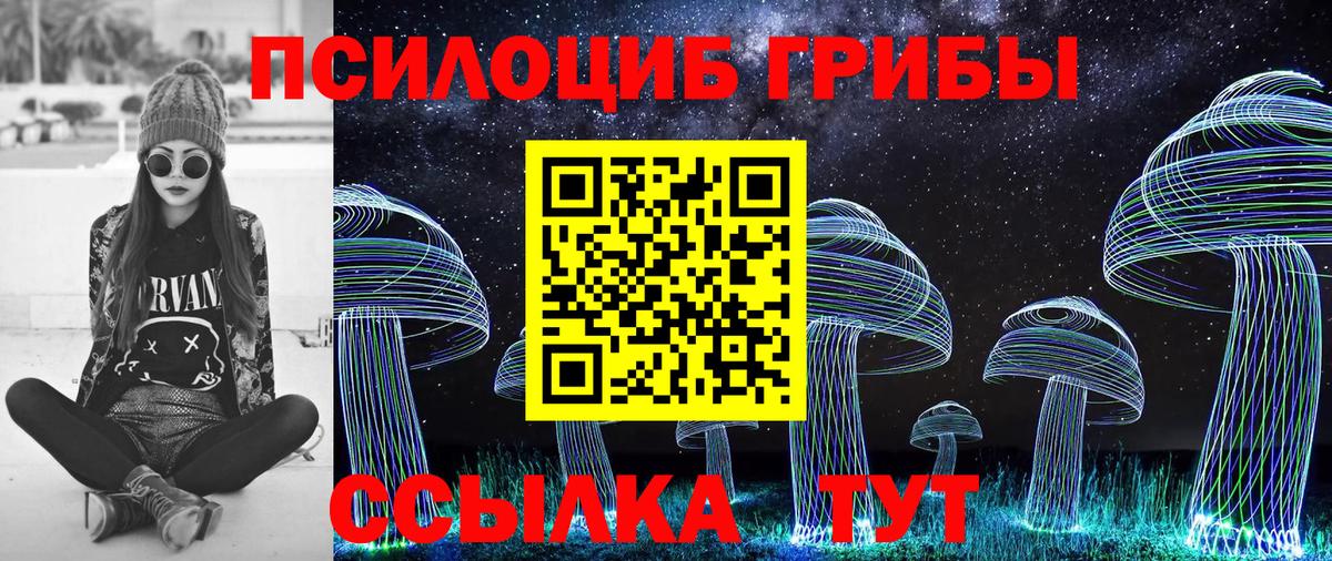Ярцево  Галлюциногенные грибы прущие грибы  Вход с VPN  цены   Галлюциногенные грибы прущие грибы 